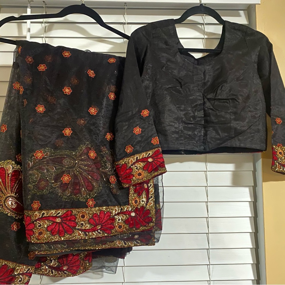 Indian/ Pakistani Embroidered Black and Red net saree.